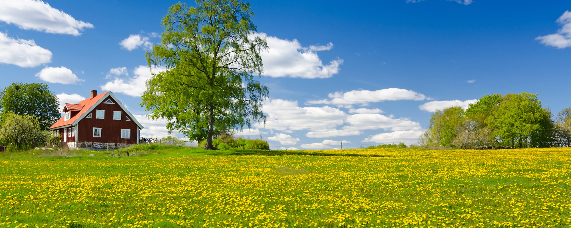 sommar-2000x800-ah00001694.jpg